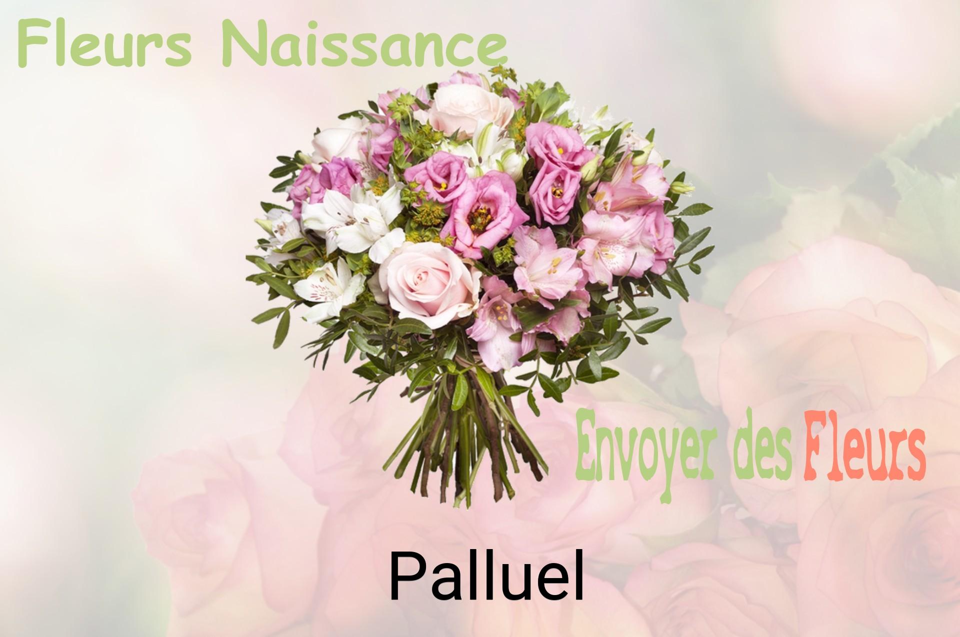 Bouquet de fleurs de naissance livré à Palluel