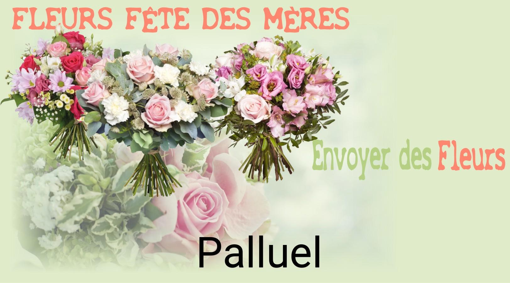 Bouquet de Fête des Mères livré à Palluel